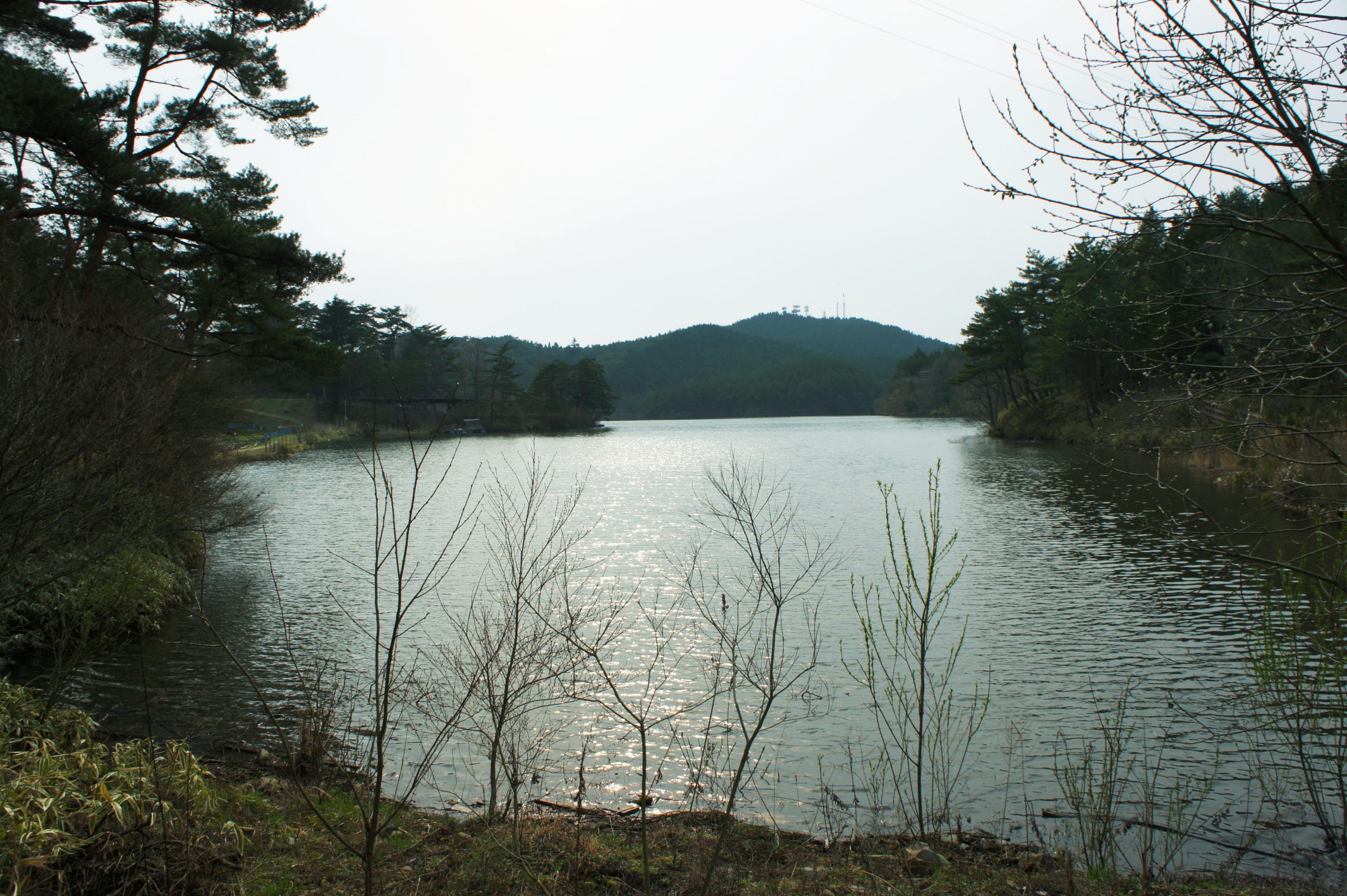 根の上高原　保古の湖