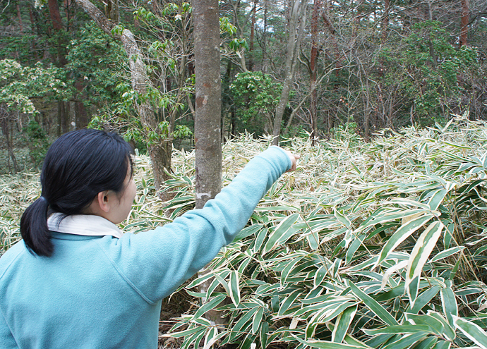 恵那山荘　市岡めぐみ