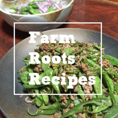 【農家のレシピ】ピーマンとささげの肉みそ炒め