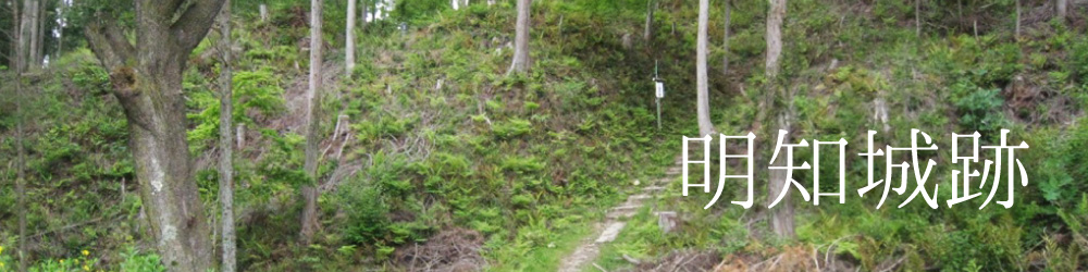 明知城