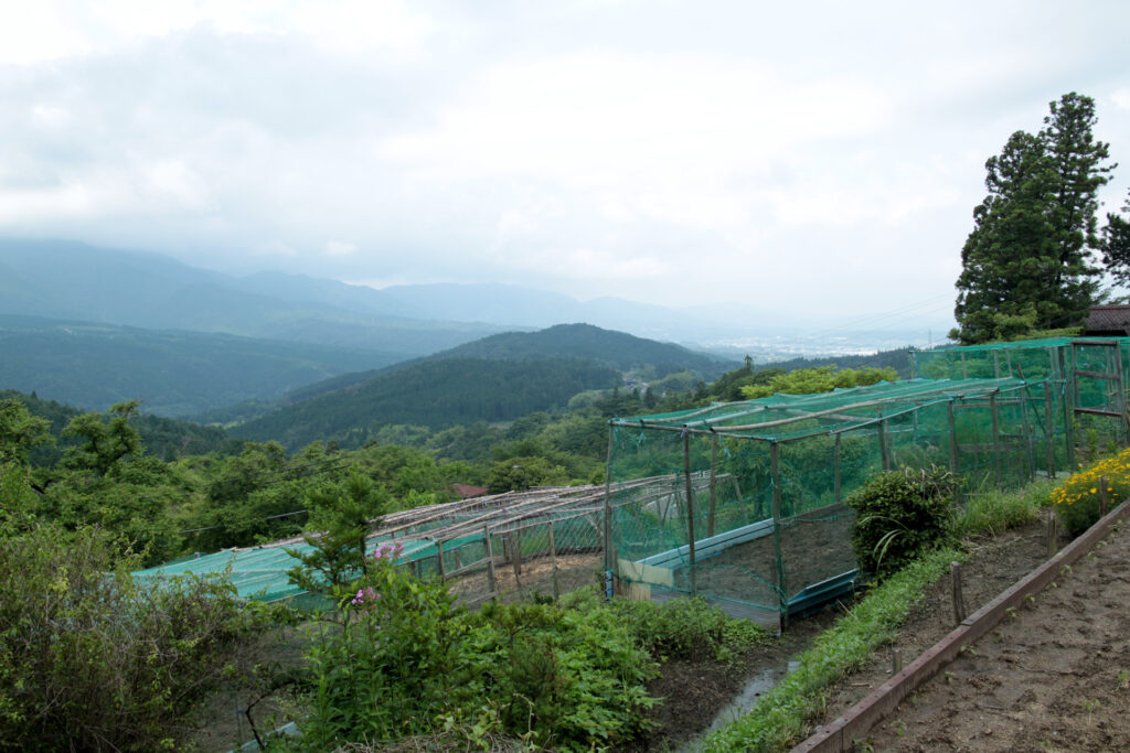 馬籠峠展望台