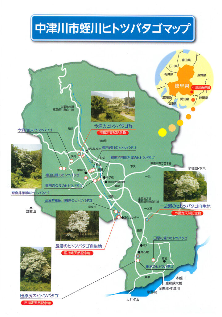 蛭川ヒトツバタゴマップ