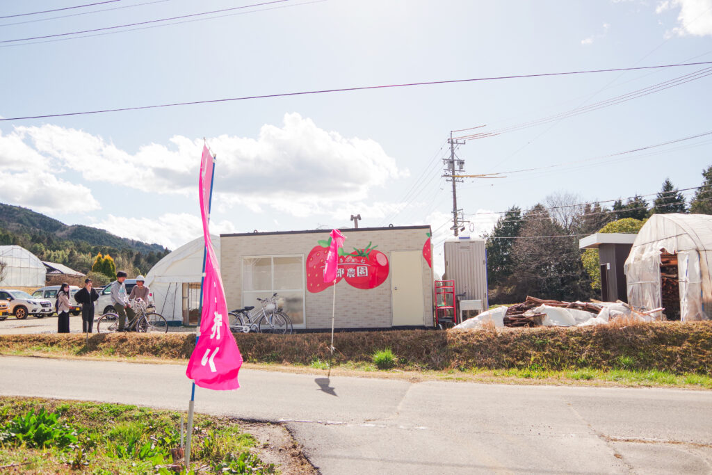 いちご狩り_恵那_阿部農園