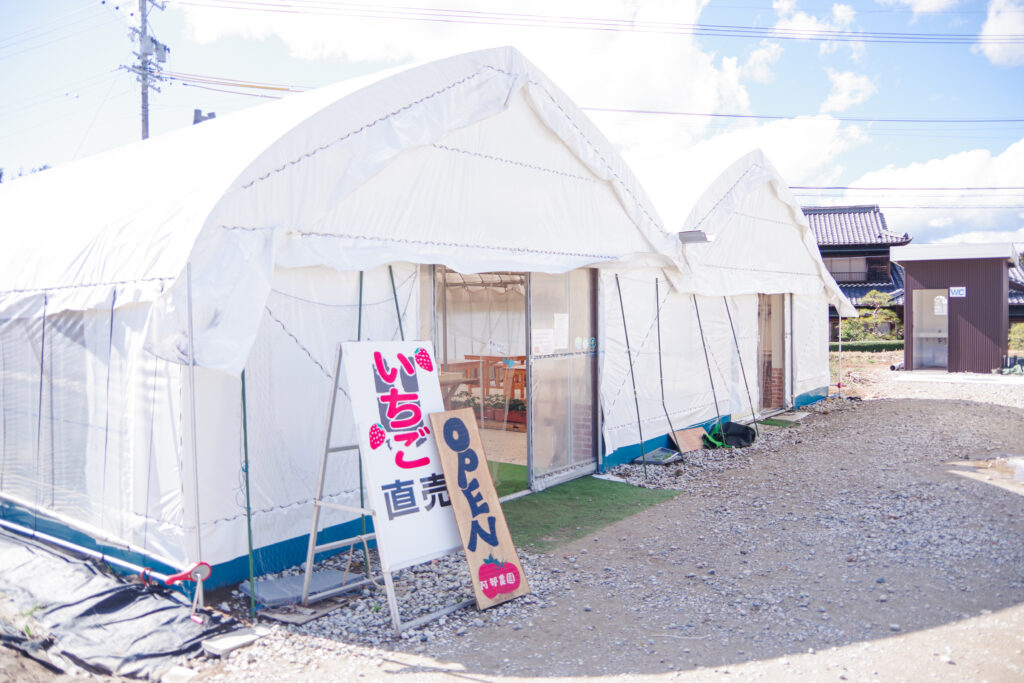 いちご狩り_恵那_阿部農園