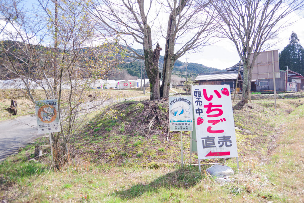 いちご狩り_恵那_阿部農園