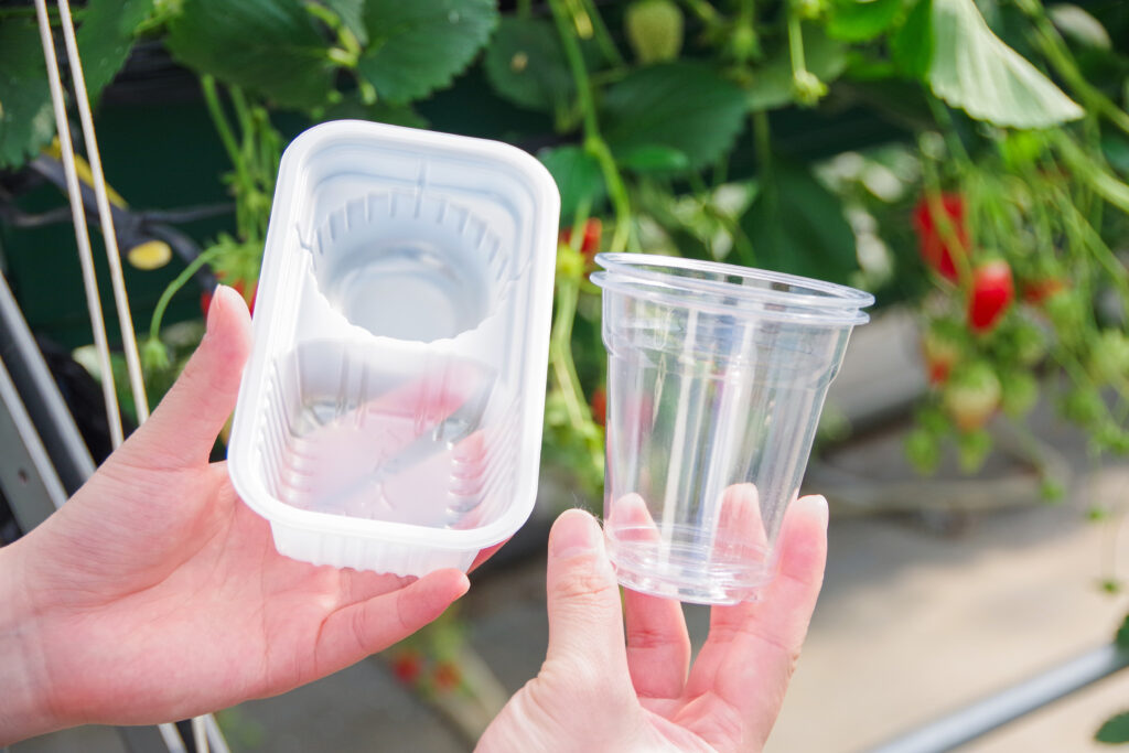 いちご狩り_恵那_阿部農園