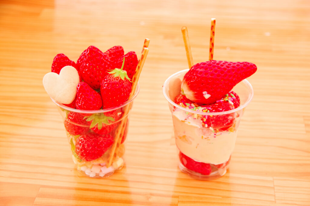 いちご狩り_恵那_阿部農園