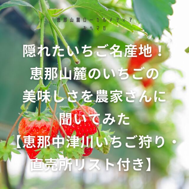 ＼新着記事／

隠れたいちご名産地！恵那山麓のいちごの美味しさを農家さんに聞いてみた【恵那中津川いちご狩り・直売所リスト付き】

隠れ名産地、恵那山麓のいちご生産者のうちの1つが、中津川にあるフカミファーム。代表の深見賢哉さんは、2017年に中津川にUターンし、家業を継いでいちごを栽培しています。 @fukamifarm 

小さい頃から恵那山麓のいちごを食べて育ち、現在は若手生産者としていちご栽培に取り組む深見さんに、恵那山麓のいちごの美味しさと楽しみ方を教えてもらいました。

▷ URLはプロフィールから！
https://www.aerushop.jp/index.php/report/ichigo/

 #おへマガ #おへマガたべる #中津川 #フカミファーム #恵那 #いちご狩り #岐阜 #岐阜いちご狩り #恵那いちご狩り #中津川狩り #岐阜観光 #中津川観光 #恵那観光